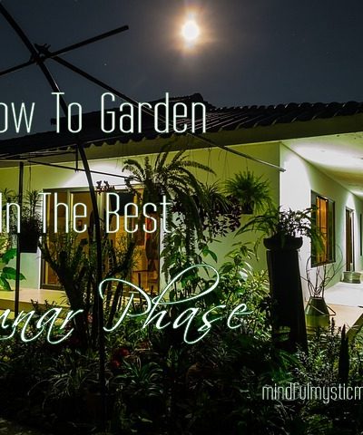 how to garden in the best lunar phase