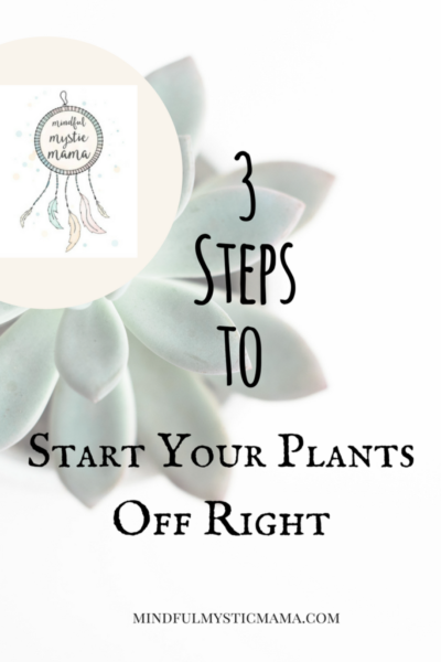 3 steps to start your plants off right