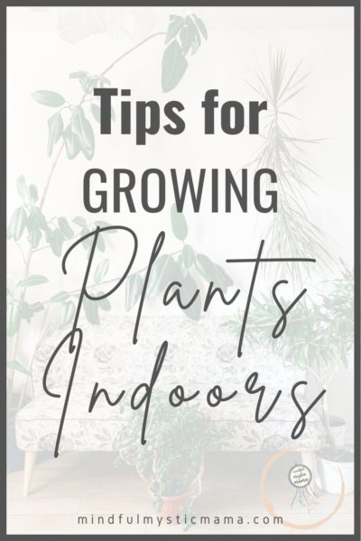 tips for growing plants indoors