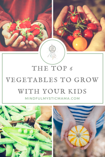 The Top 6 Vegetables to Grow with Your Kids