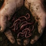 Eliot Coleman’s Guide to Great Compost