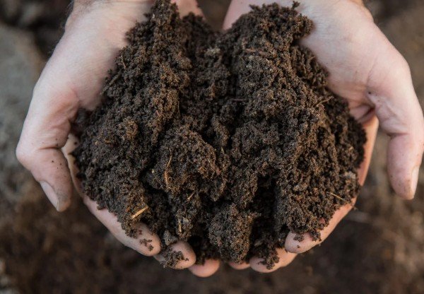 Fertile soil begins with compost