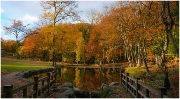 Arts, Culture, & Entertainment