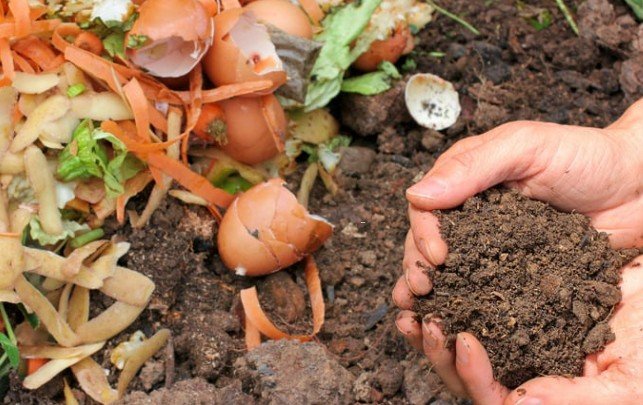 What goes into compost