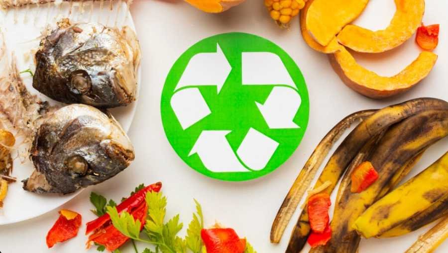 Hazardous vs. Non-Hazardous Waste Best Practices for Workplace Management