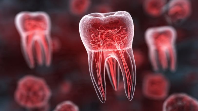 When to Seek Treatment