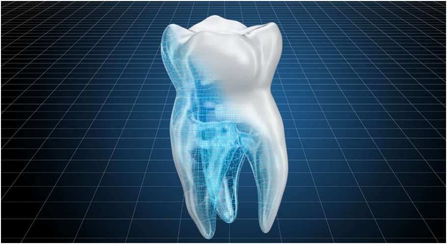 The Science of Tooth Regeneration and What It Means for Future Dental Treatments