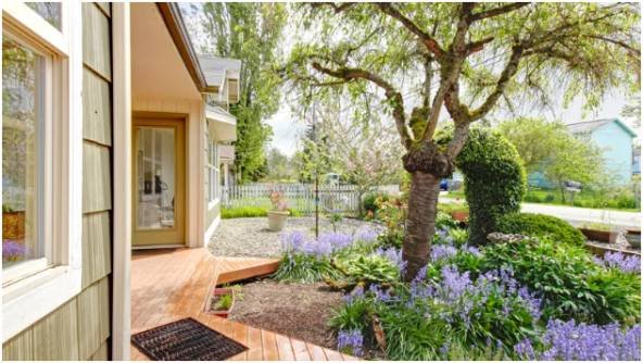 Water Features and Visual Focal Points