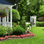 Warning Signs Your Yard Is Crying Out for Professional Care
