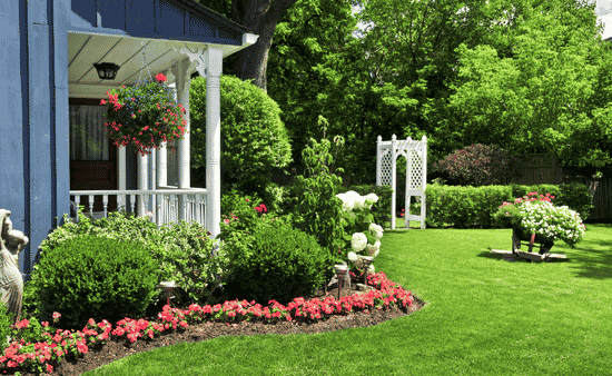 Warning Signs Your Yard Is Crying Out for Professional Care